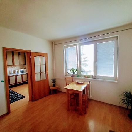 Apartman Lienka Free Parking City Centre Тренчин Экстерьер фото