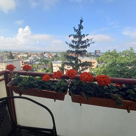 Apartman Lienka Free Parking City Centre Тренчин Экстерьер фото