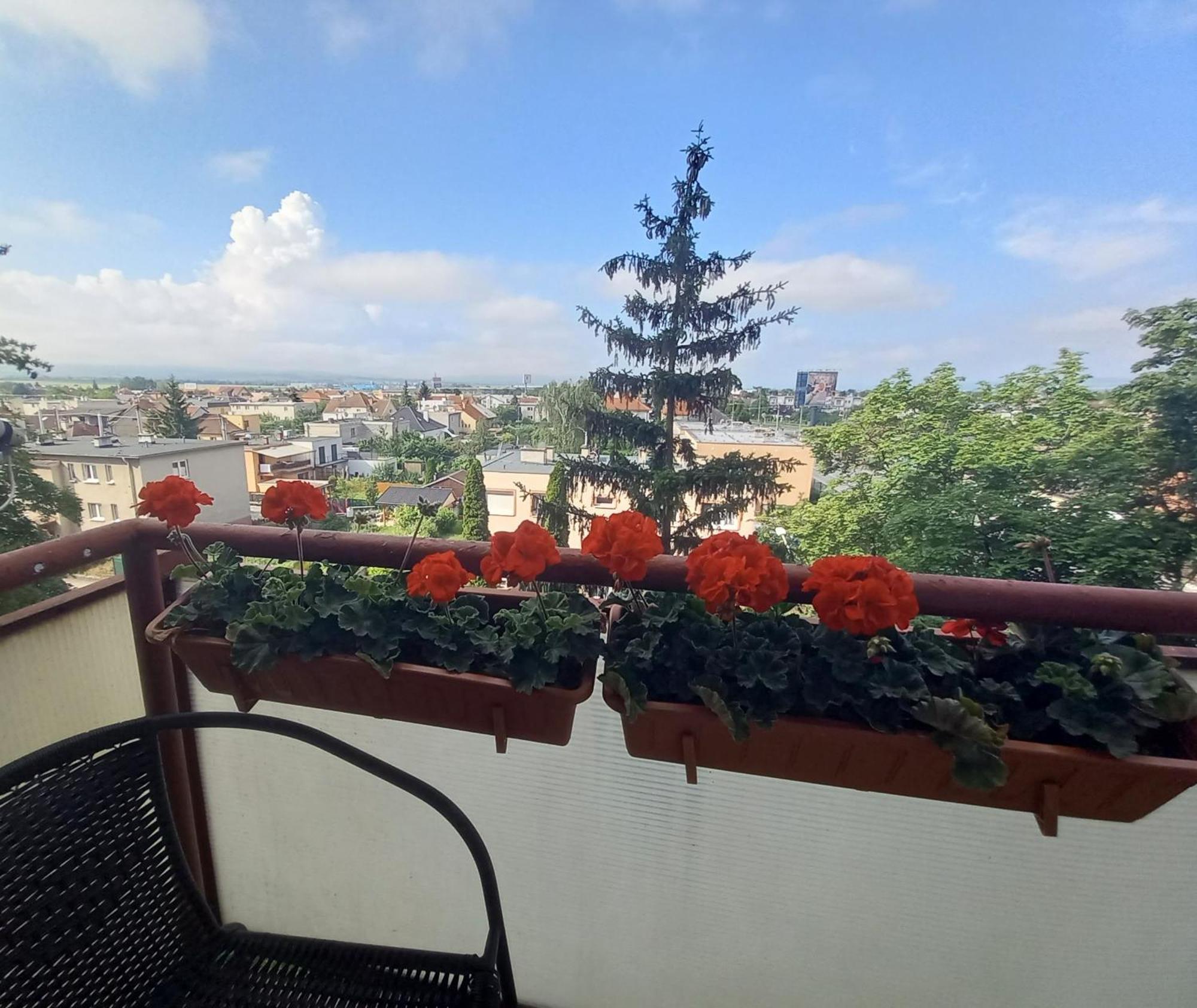 Apartman Lienka Free Parking City Centre Тренчин Экстерьер фото
